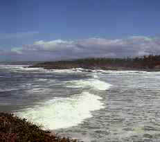 Queensland ocean